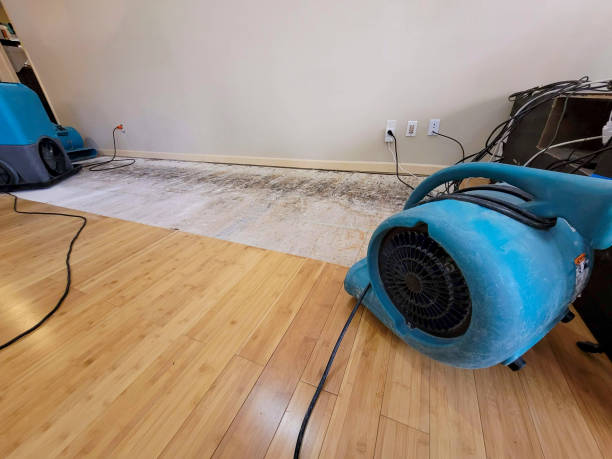 Reliable Basement Flood Cleanup contractor in Fremont, WI by Hirex Water Damage