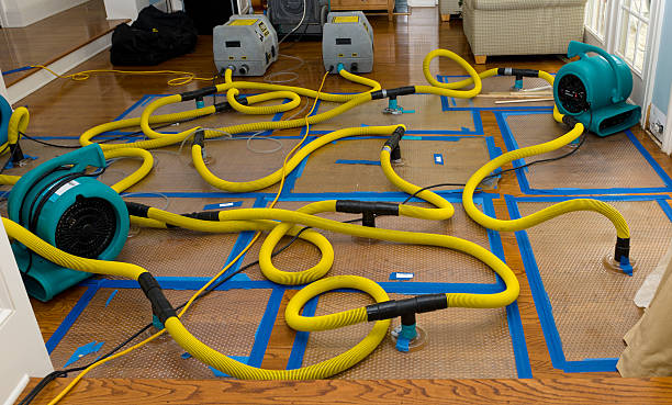 Professional Basement Flood Cleanup technician working in Fremont, WI
